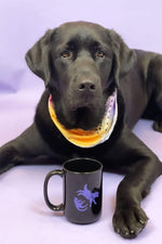 A dog with beautiful black fur sitting in front of the classic pets black mug