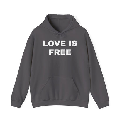 Love is Free Premium Hoodie