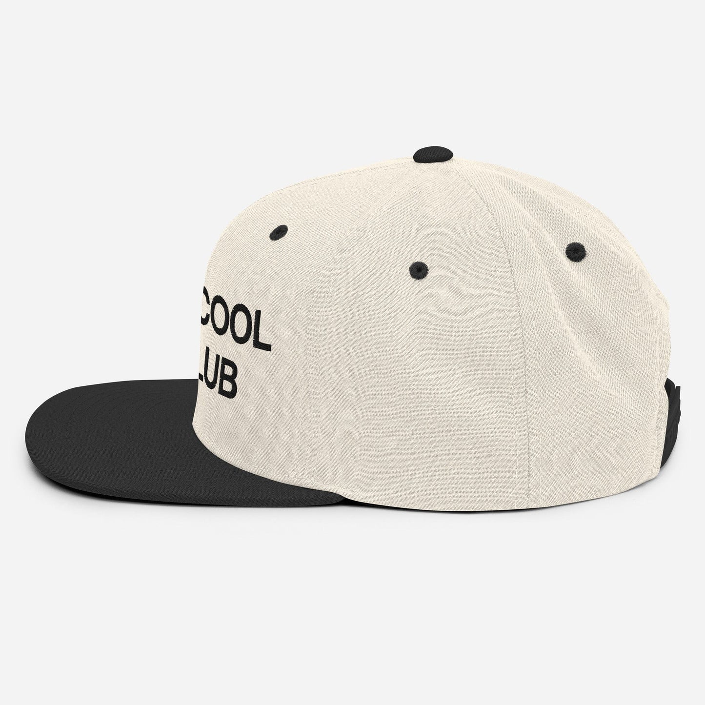 Really Cool Dad Club -- Snapback Hat