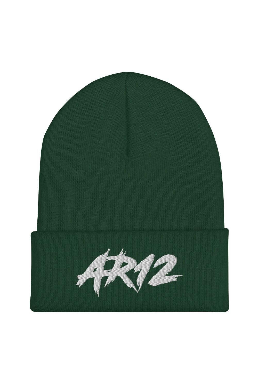 AR12: Christmas Beanie