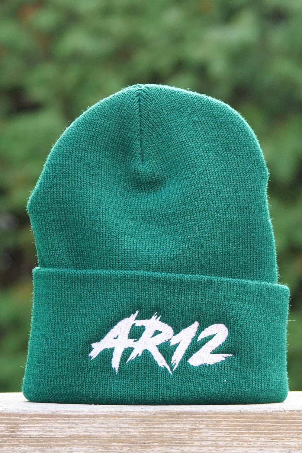 AR12: Christmas Beanie