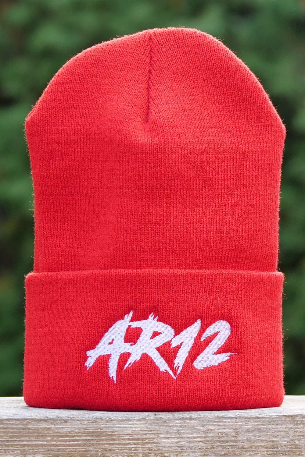 AR12: Christmas Beanie