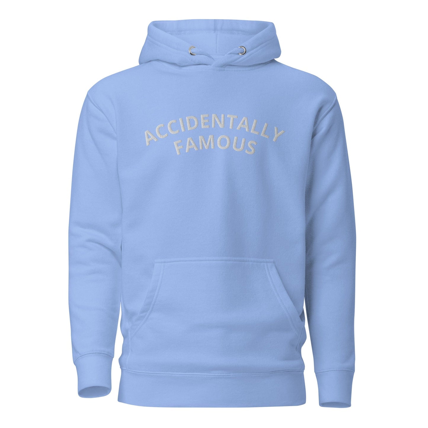 Accidentally Famous Embroidered Hoodie