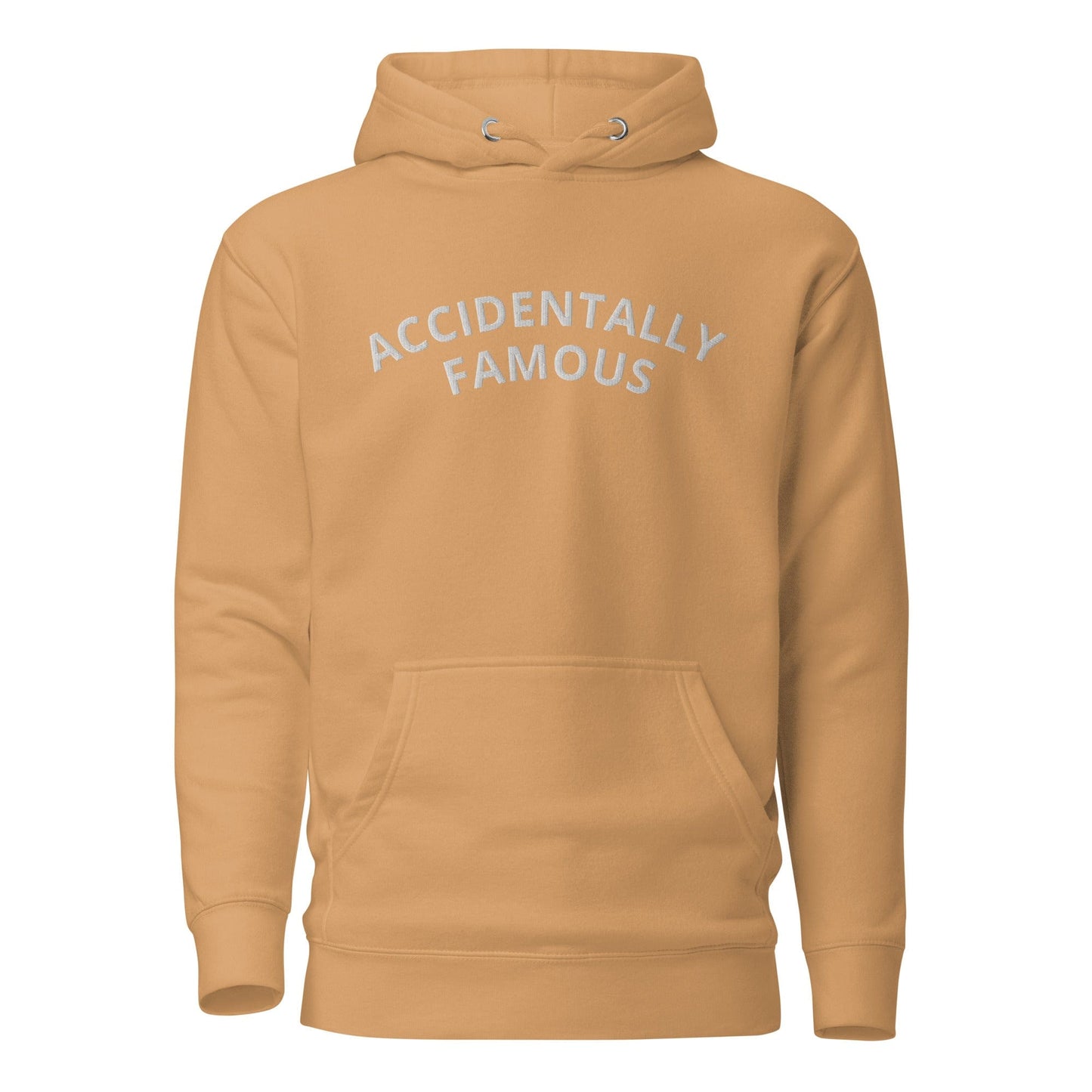 Accidentally Famous Embroidered Hoodie