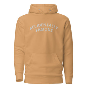 
                  
                    Accidentally Famous Embroidered Hoodie
                  
                