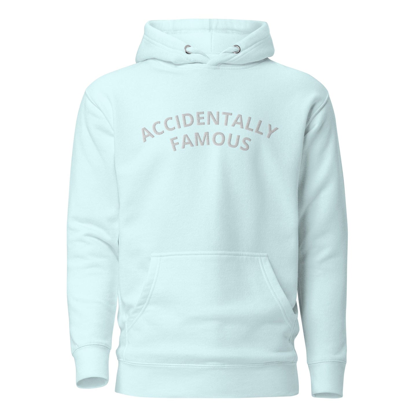 Accidentally Famous Embroidered Hoodie