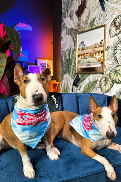 F*cking Delight Pet Bandana