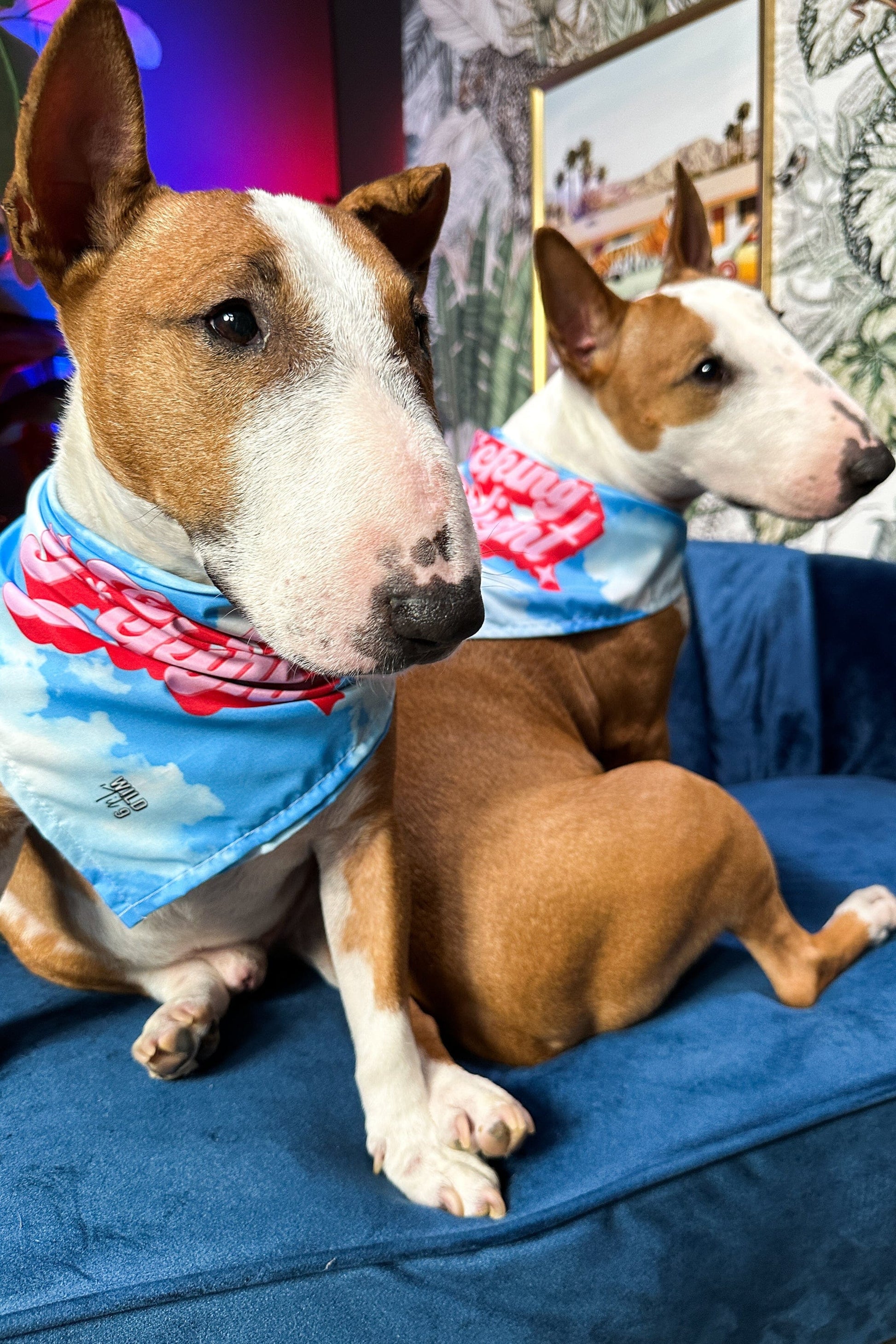 F*cking Delight Pet Bandana